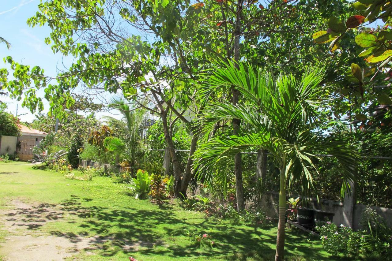 Celtis Resort Malapascua Eksteriør bilde